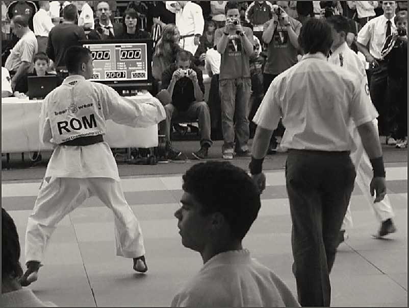 Sportivi White Tiger Budokan în competiție